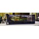 Artificiale Dowz Swimmer 220SF  RT Pike 
